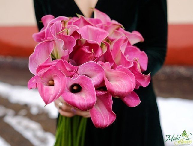 Pink Calla Lily (made to order, 10 days) photo