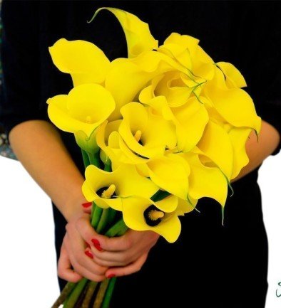 Yellow Calla Lily (made to order, 10 days) photo 394x433