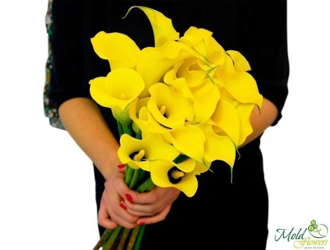 Yellow Calla Lily (made to order, 10 days) photo