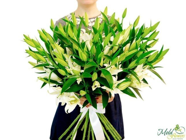 Лилия белая (под заказ, 10 дней) Фото