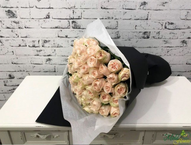 Cream Rose, 50-60 cm photo