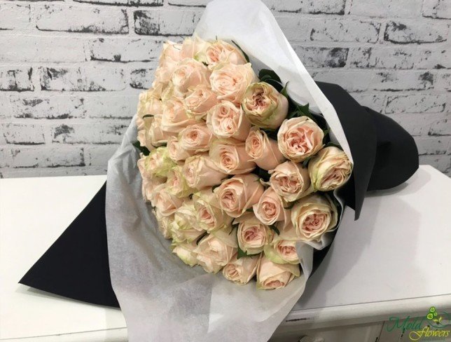 Cream Rose, 50-60 cm photo