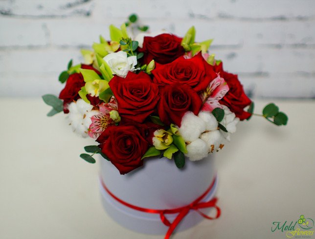 Белая коробка с красными розами и зелёной орхидеей Фото
