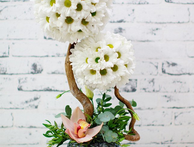Композиция с белыми хризантемами, эустомами, розовой орхидеей, эвкалиптом  фото
