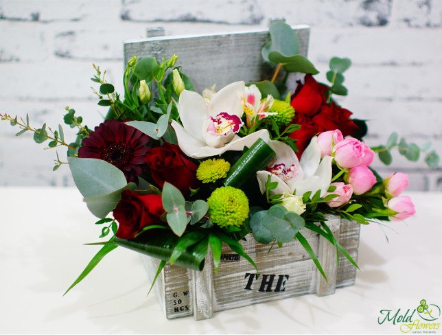 Box with red roses, gerbera, white orchids, eustomas green chrysanthemums, pink small flowers photo