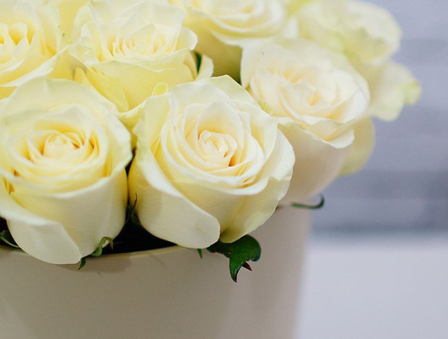 Бежевая коробка с белыми розами Фото