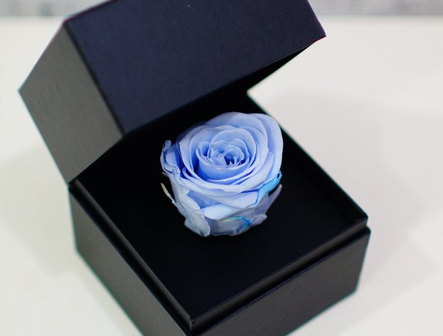 Cutiuța cu trandafir veșnic (albastru deschis) foto