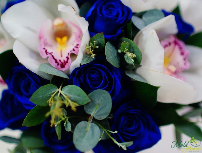 Букет невесты с синими розами и белыми орхидеями Фото