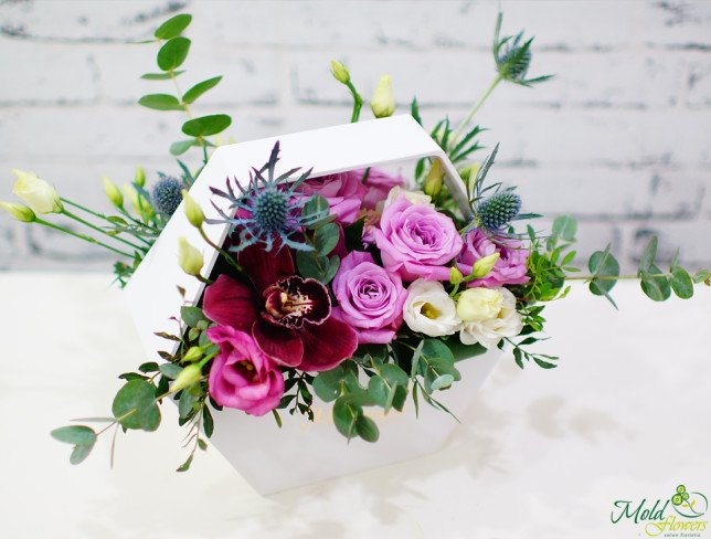 Белая коробка с фиолетовой розой, бордовой орхидеей, розовыми и белыми эустомами, эрингиумом, эвкалиптом фото