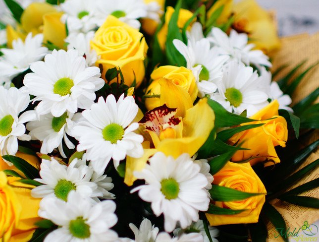 Букет с жёлтыми розами, хризантемой и орхидеей 2 Фото