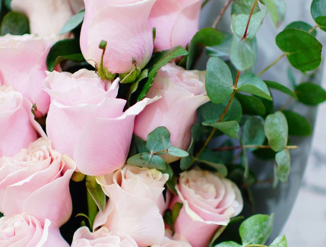 Bouquet of pink roses, eucalyptus in gray paper photo