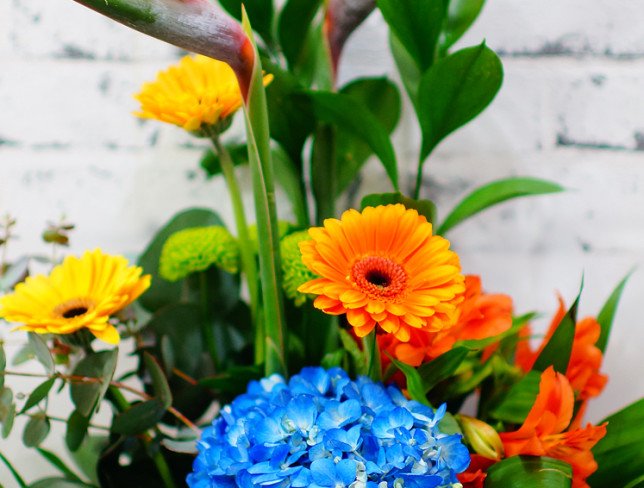 Bouquet of blue hydrangea, orange and yellow gerberas, strelitzia, green chrysanthemums, ruscus, eucalyptus photo