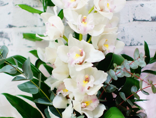 Букет из белой орхидеей цимбидиум, эвкалипта, рускуса, аспидистры фото