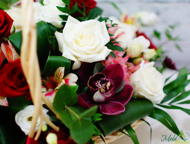 Basket of red roses, chrysanthemums, white roses, eustomas, burgundy orchid, pink alstromeria, eucalyptus, chica photo