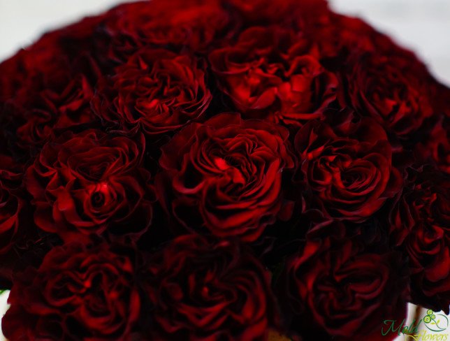 Бархатная коробка с красными розами Фото