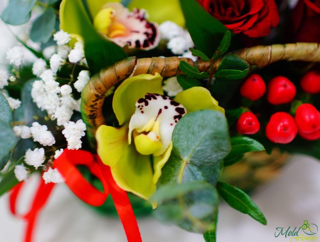 Корзина с красными и белыми розами, зелеными орхидеями, красным гиперикумом, эвкалиптом фото