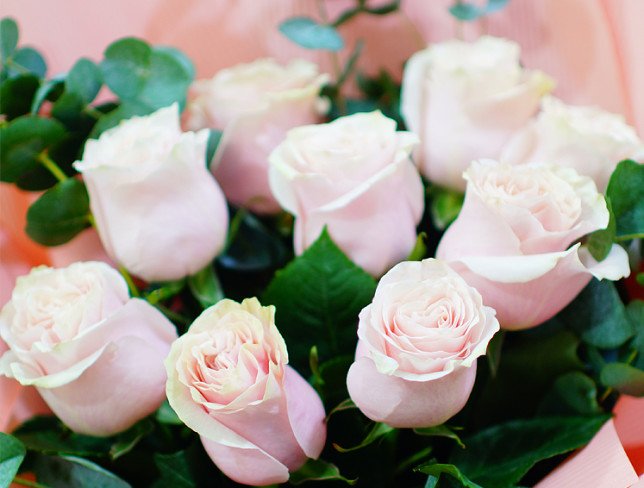 Букет с розовыми розами и эвкалиптом Фото