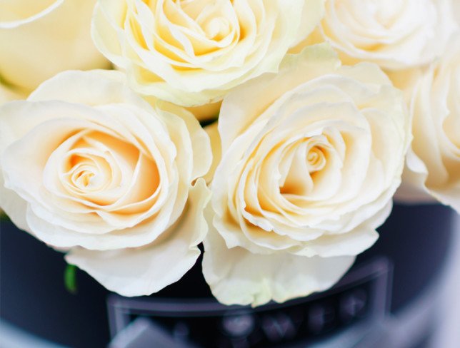 Чёрная коробка с белыми розами Фото