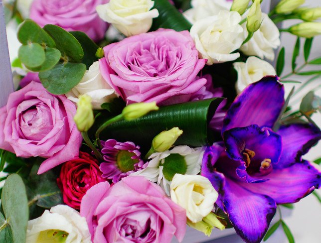 Box of lilac roses, cymbidium orchids, chrysanthemums, white eustoma, chrysanthemums, eucalyptus, aspidistra photo
