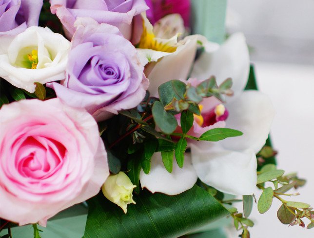 Box of lilac and pink roses, white eustoma, orchid, pink and purple alstroemeria, eucalyptus, aspidistra photo