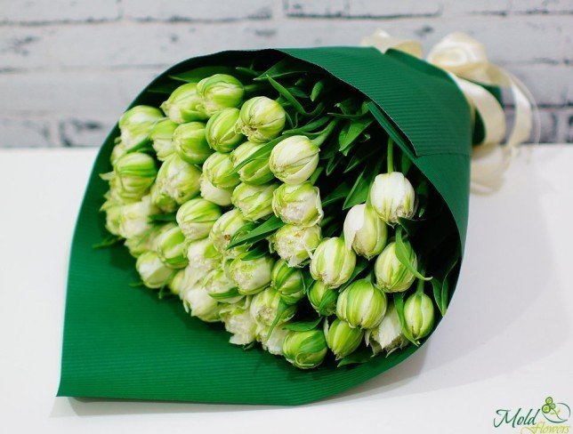 Голландские тюльпаны пионовидные бело-зелёные Фото