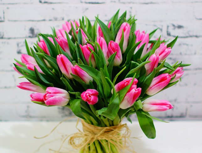 Тюльпан ярко-розовый голландский Фото