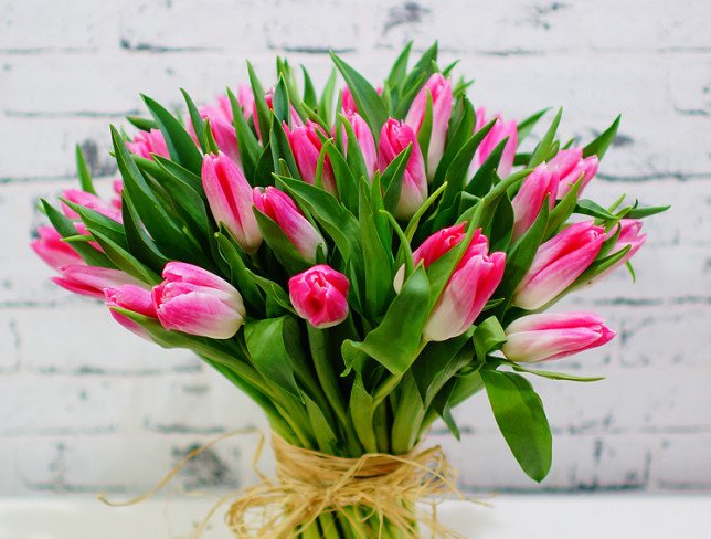 Тюльпан ярко-розовый голландский Фото