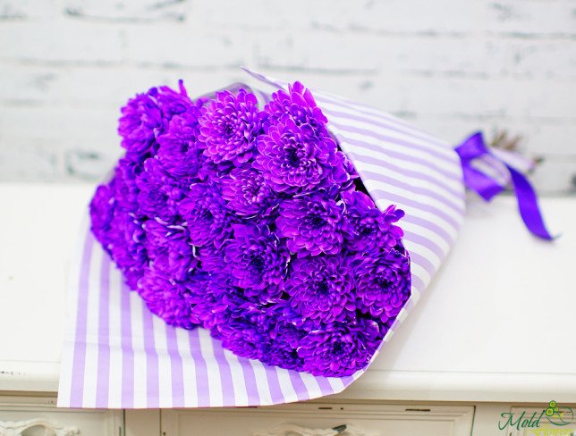 Фиолетовая хризантема (под заказ, 5 дней) Фото