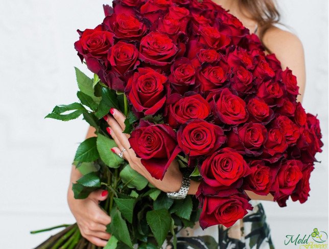 Роза красная голландская премиум 80-90 см Фото