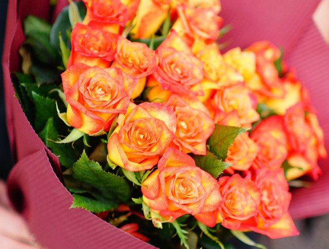 Роза оранжевая 50-60 см Фото