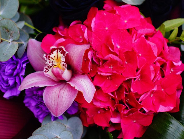 Buchet cu hortensie roz și trandafiri negri foto