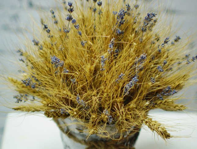 Wheat and Lavender Composition photo