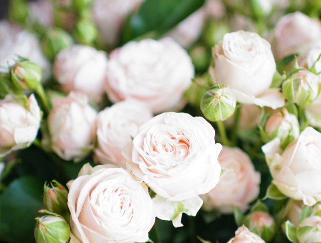 Букет из голландской кустовой розы (под заказ, 10 дней) Фото
