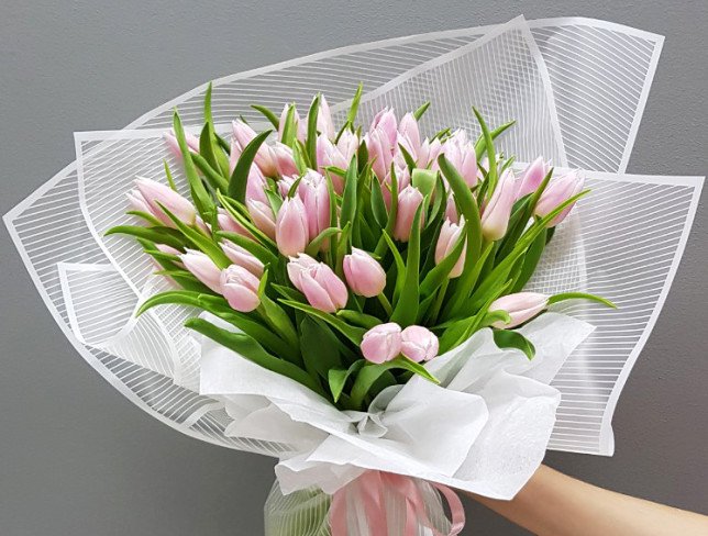 Тюльпан бледно-розовый голландский Фото