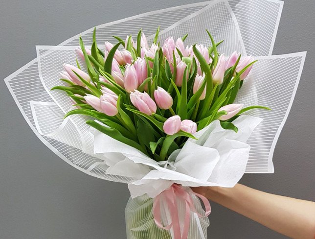 Тюльпан бледно-розовый голландский Фото