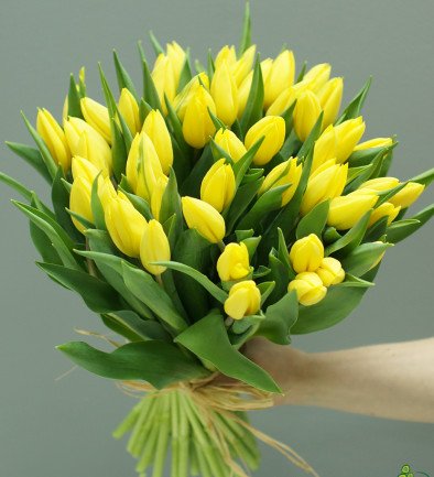 Dutch Yellow tulip photo 394x433