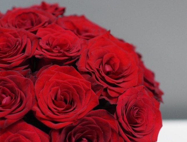 Бежевая коробка с красными розами Фото