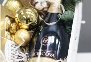 New Year's Gift — photo 2