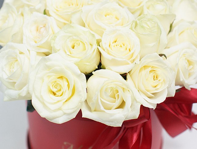 Красивые белые розы в красной коробке фото