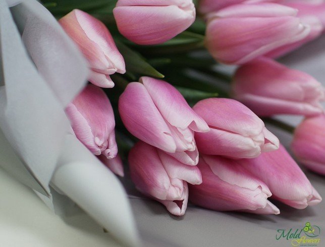 Букет из розовых тюльпанов в серой бумаге фото