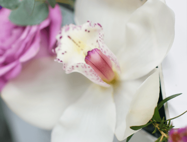 Compoziție cu trandafiri în cutie albă foto