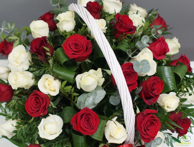 Large white basket with red and white roses, aspidistra with red bow photo