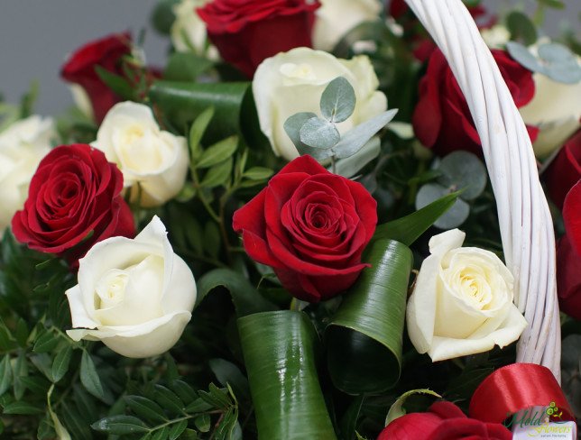 Большая белая корзина с красными и белыми розами, аспидистрой с красным бантиком фото