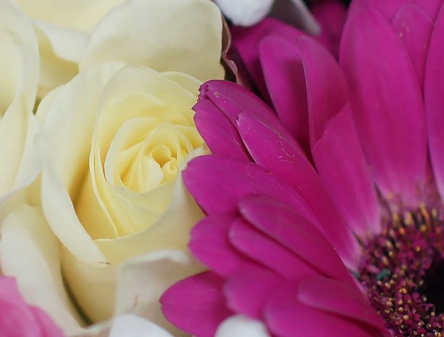 Чёрная коробочка в форме яблока с белыми розами, хризантемой, розовой герберой, орхидеей, розой и эвкалиптом фото
