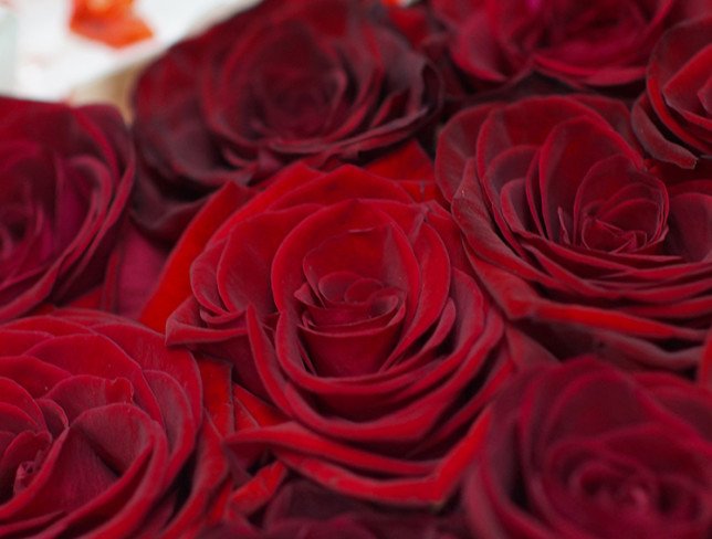 Сердце с розами и raffaello (большая) Фото