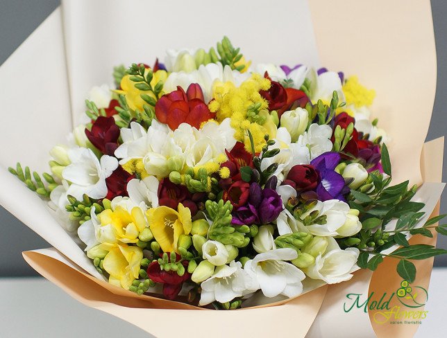 Bouquet of freesias photo