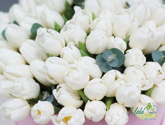 Коробка с белыми тюльпанами Фото