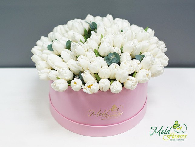 Коробка с белыми тюльпанами Фото