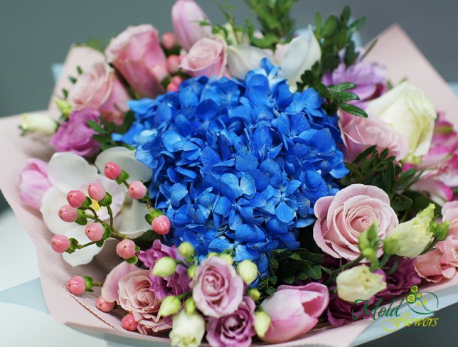 Букет с синей гортензией, зелеными розами, эустомой, розовыми тюльпанами, герберами, гиперикумом, эвкалиптом фото