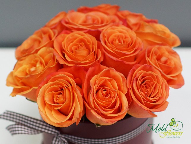 Light brown box with scarlet roses photo